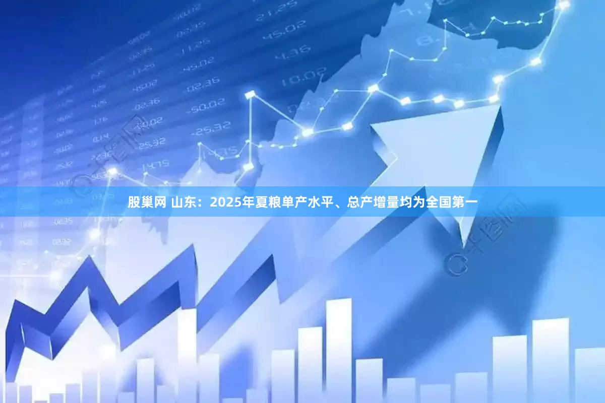 股巢网 山东：2025年夏粮单产水平、总产增量均为全国第一